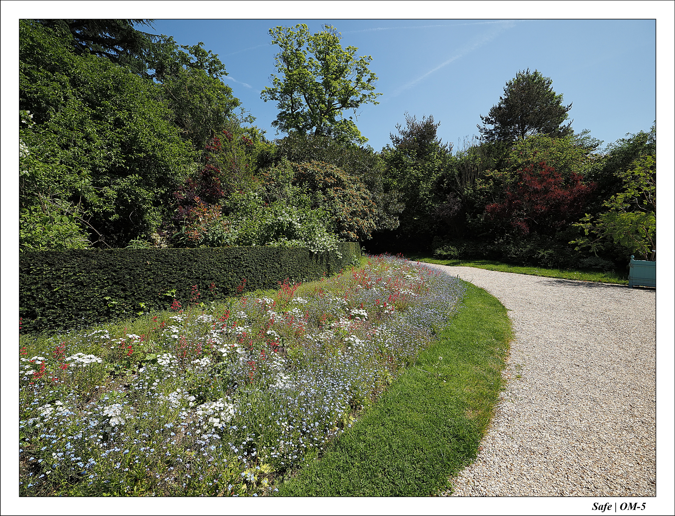 2024 - 05 - Bagatelle - 03